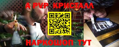 тгк Кингисепп