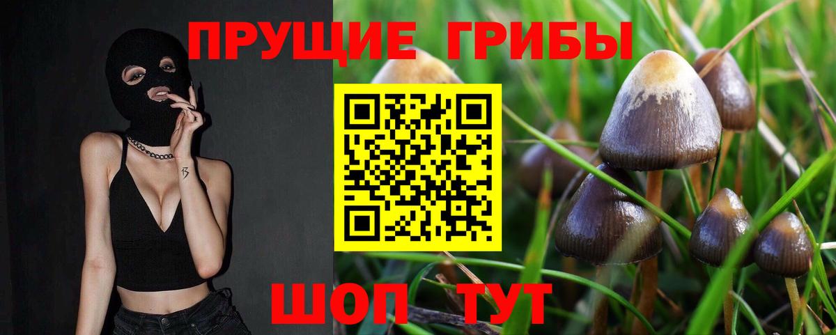 Галлюциногенные грибы прущие грибы  Вход с VPN  сколько стоит  Псилоцибиновые грибы мухоморы  Коломна 